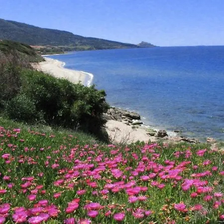 펜션 Titino Stupendo In Fronte Mare - Golfo Dell'asinara - Internet Free *